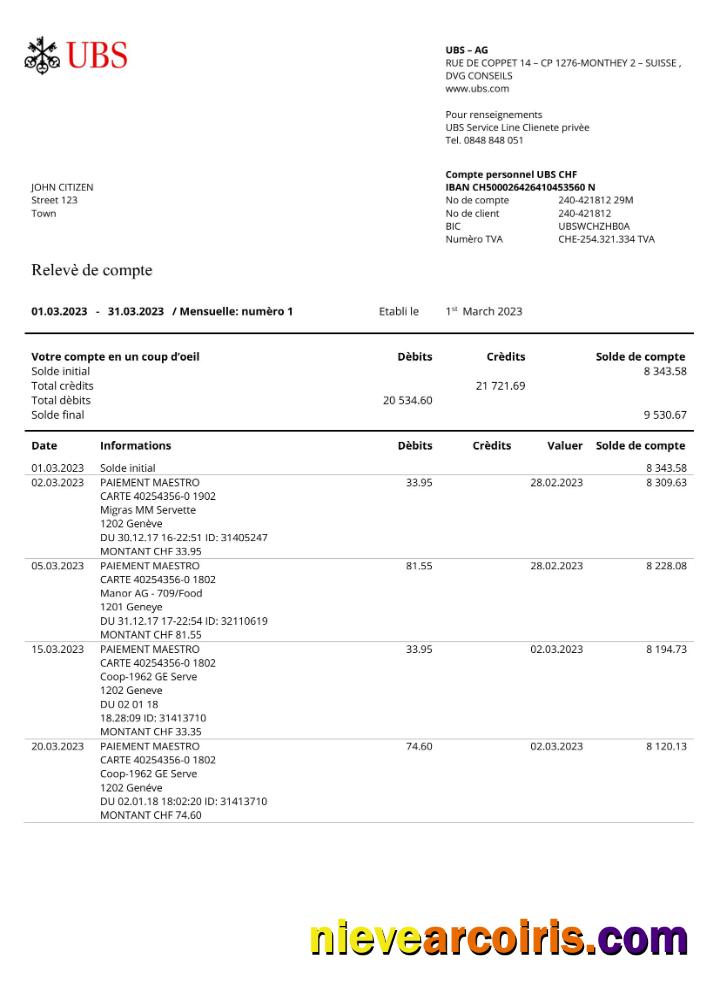 France UBS bank statement Word and PDF